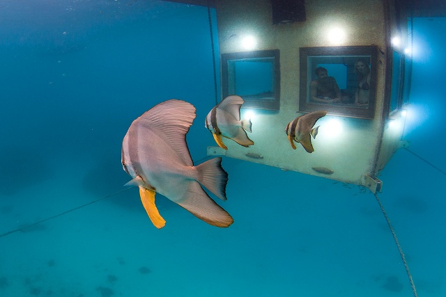 Подводный