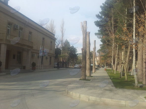 В
