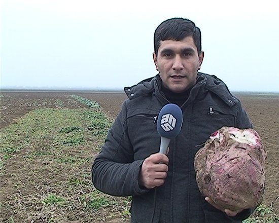 Огромная