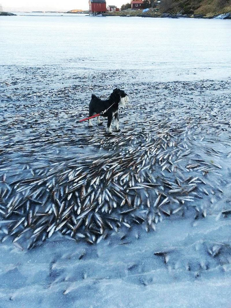 Тонны