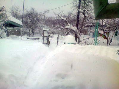 Снег