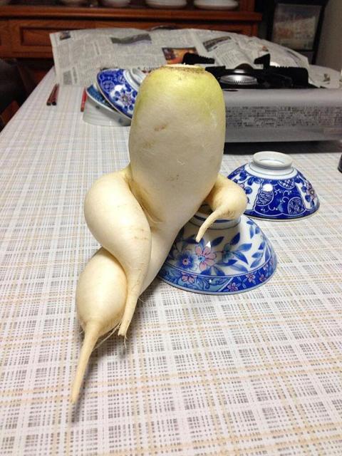 Фрукты