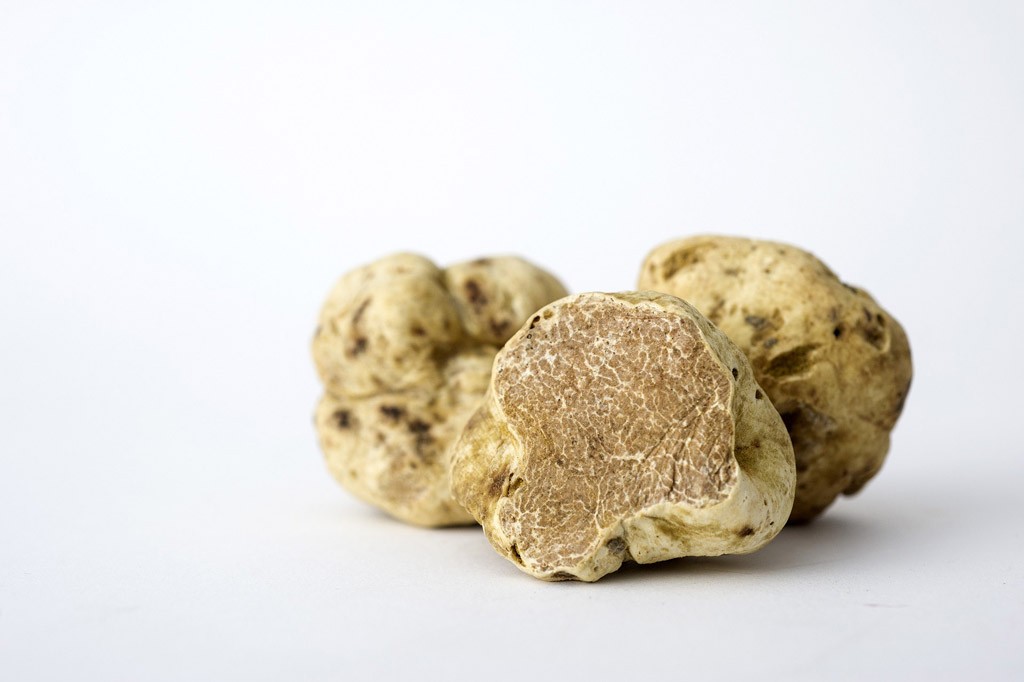 Самая