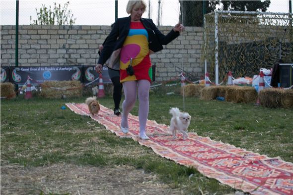 В