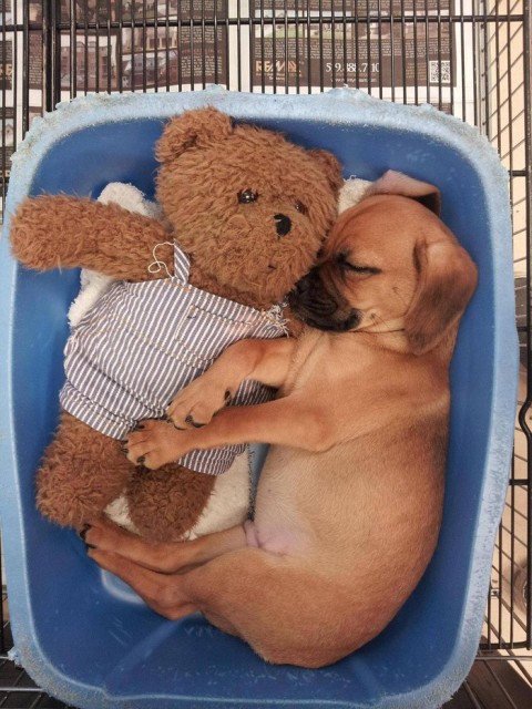 Тихий