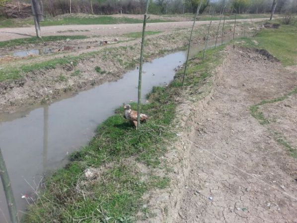 В