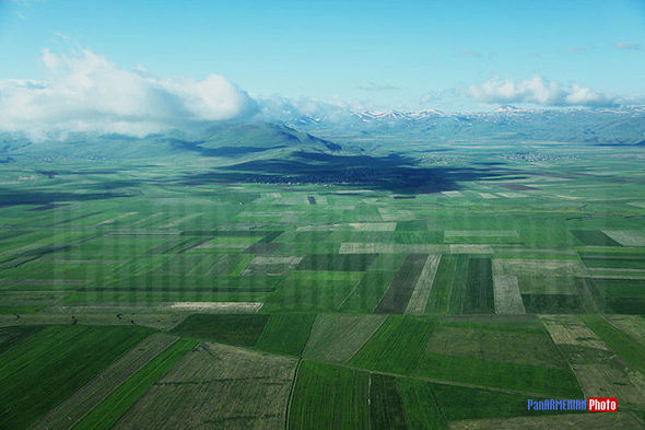 Армяне