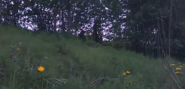 Охотник
