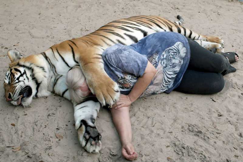 Любительница