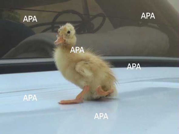 В