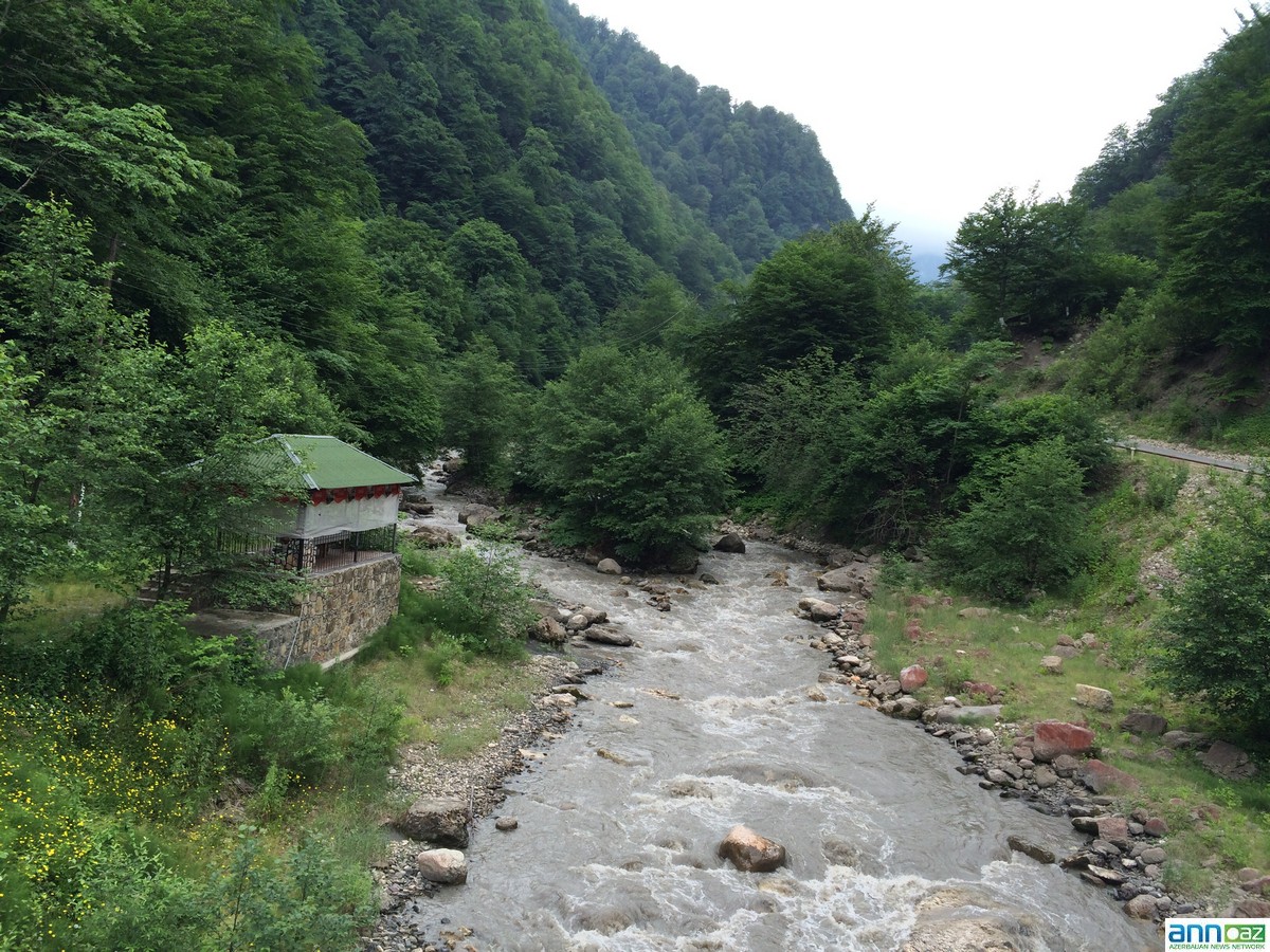 Наши