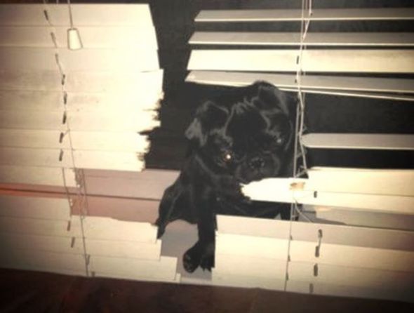 Самые
