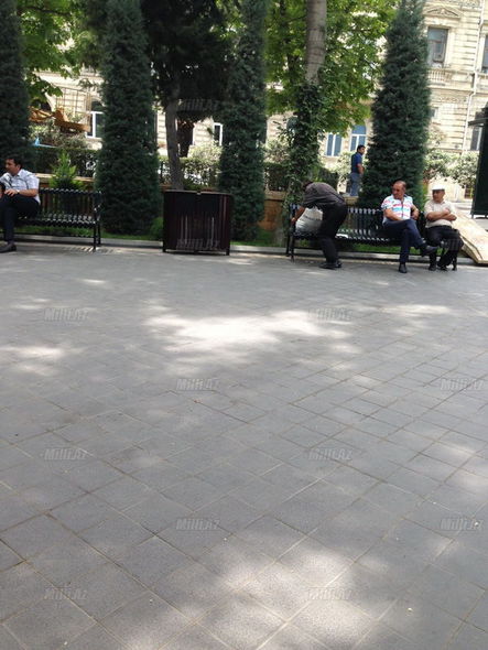 Сад
