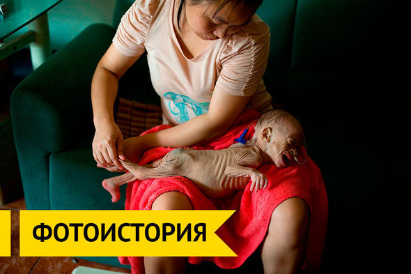 Врачи