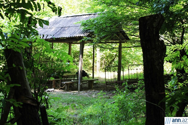 Красоты