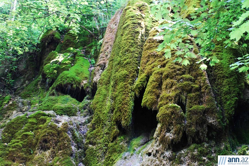 Красоты