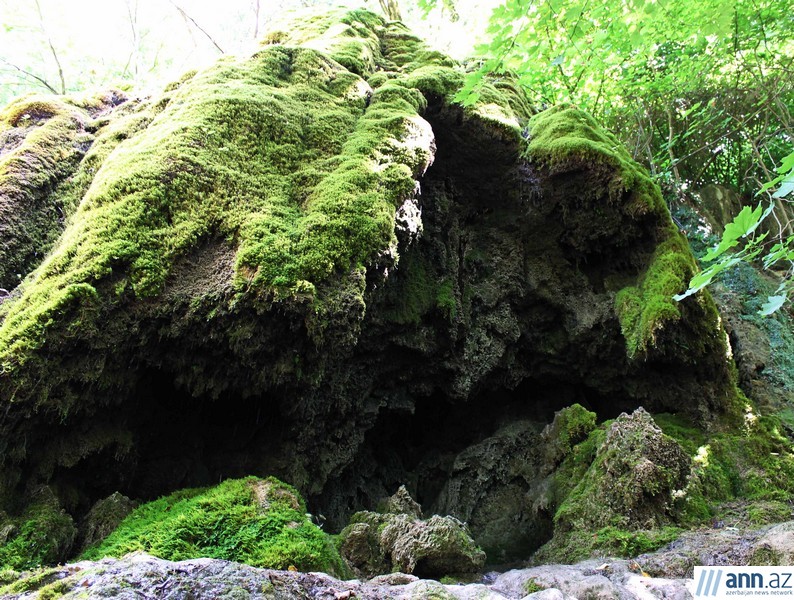 Красоты