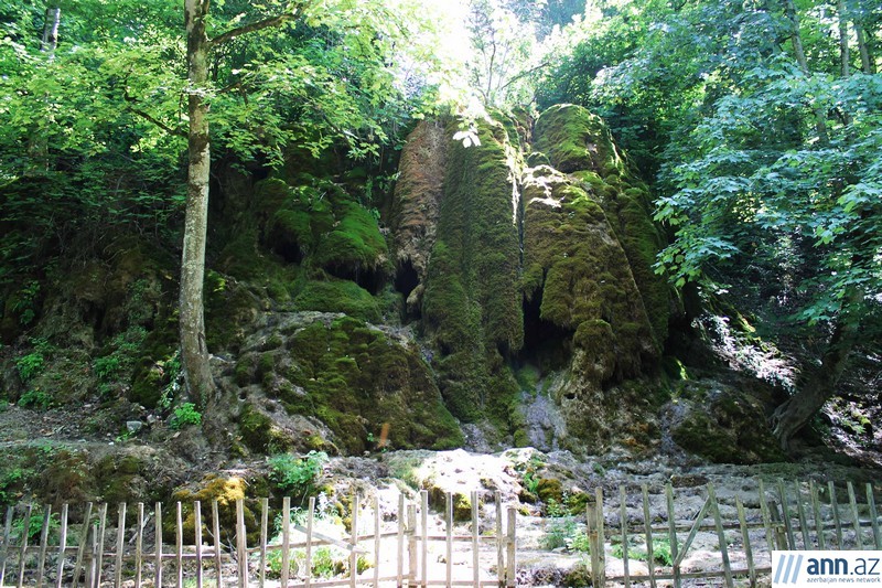 Красоты