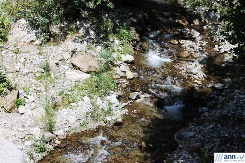Красоты