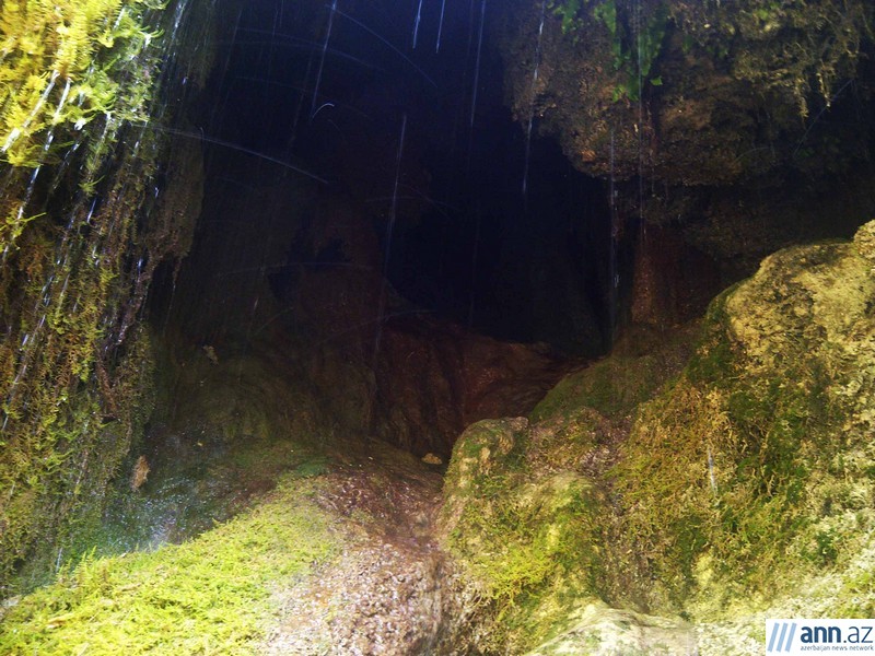 Красоты