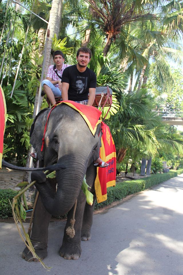 Ульвия