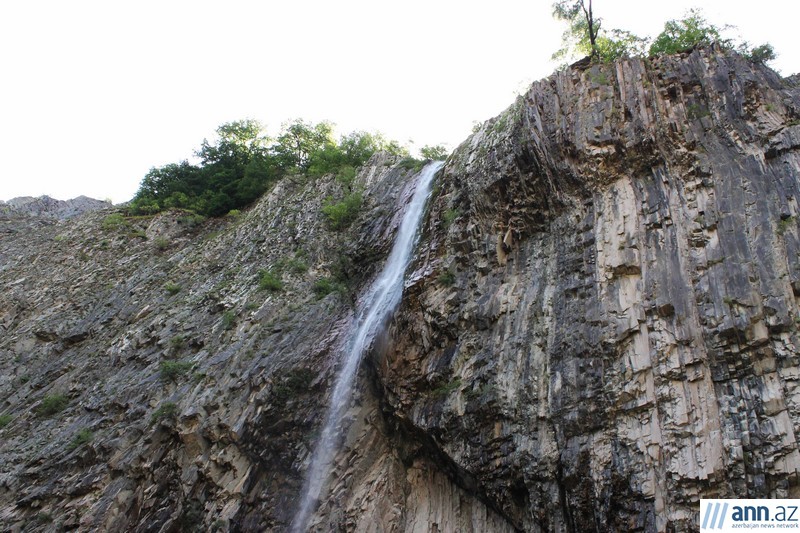 Красоты