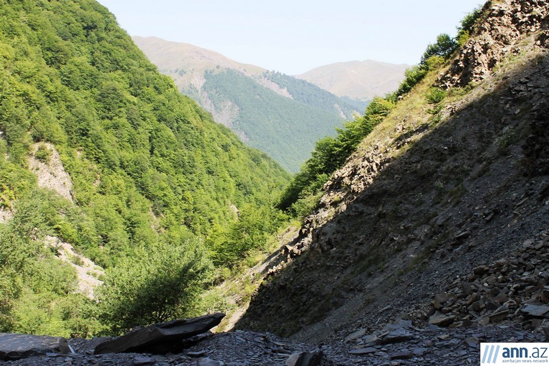 Красоты