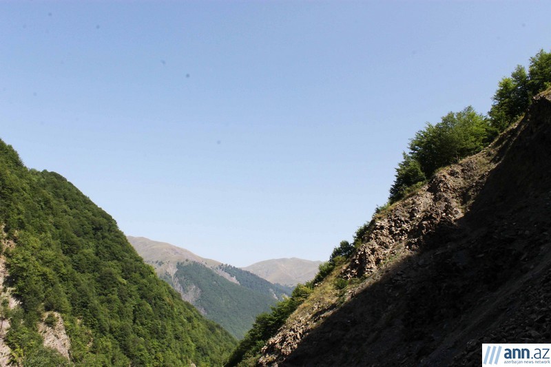 Красоты