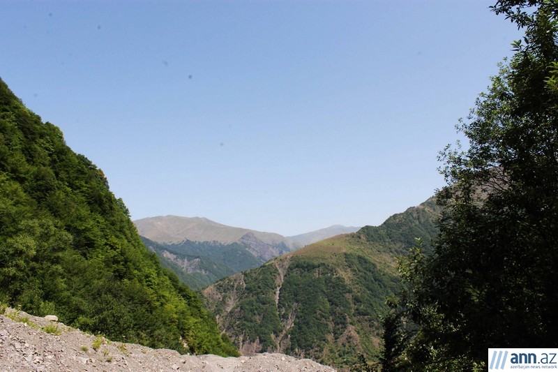 Красоты