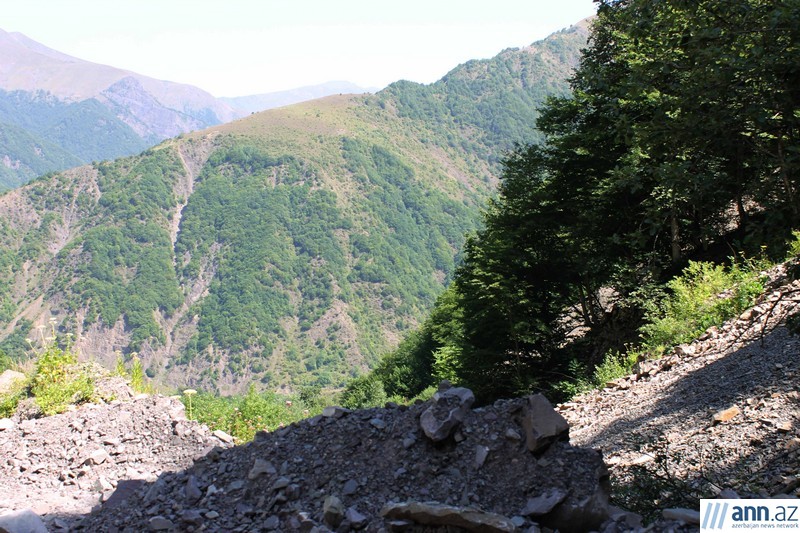 Красоты