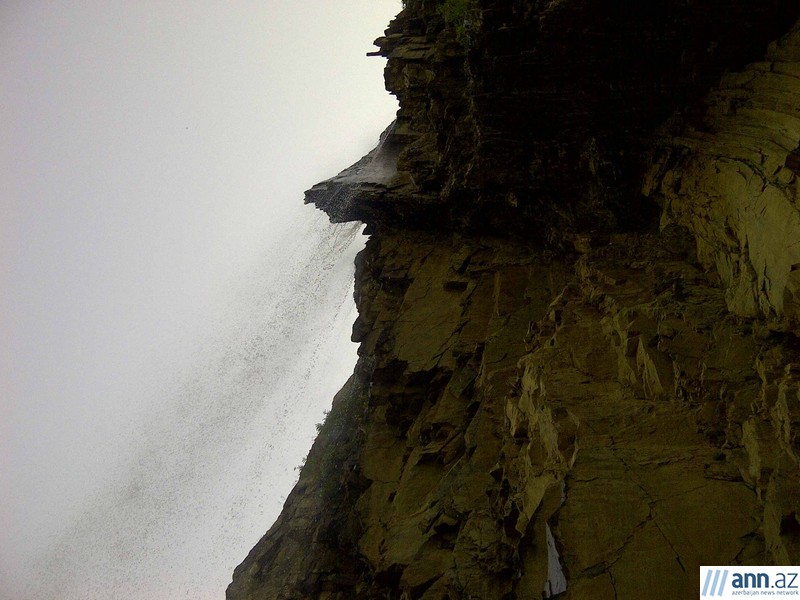 Красоты