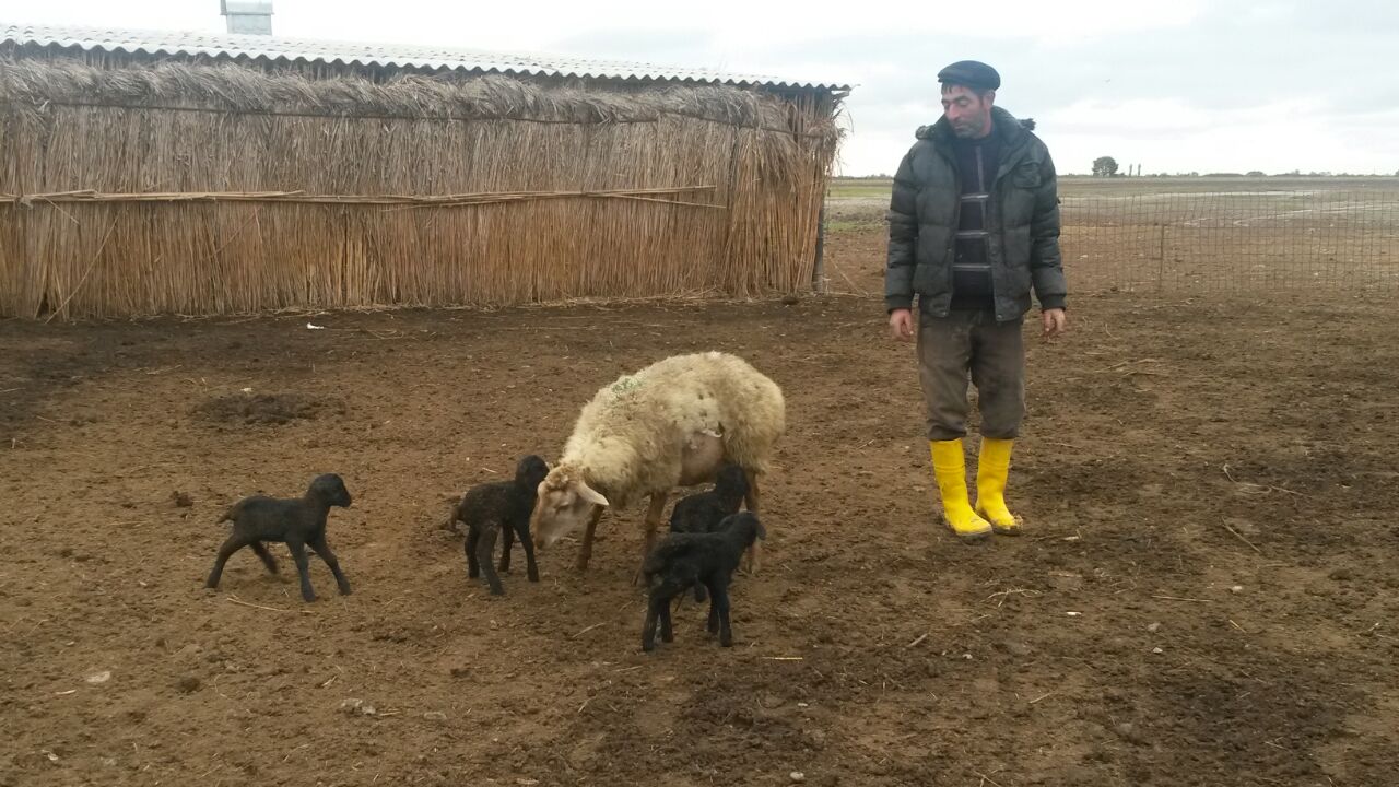 Необычное
