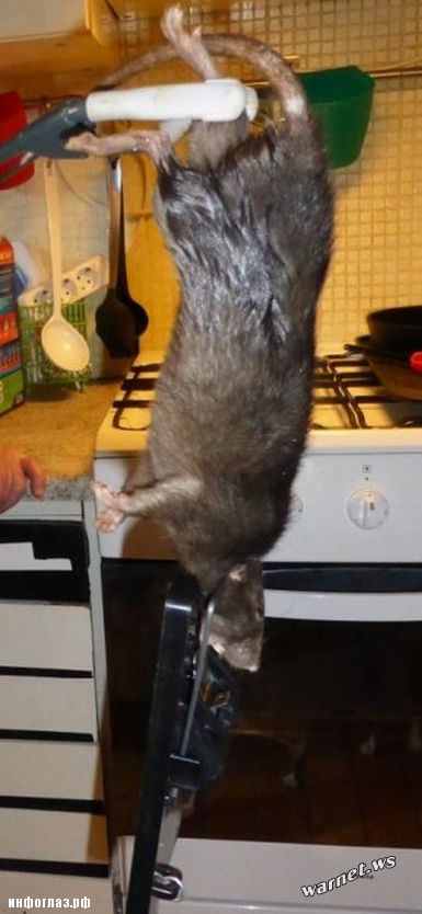 В