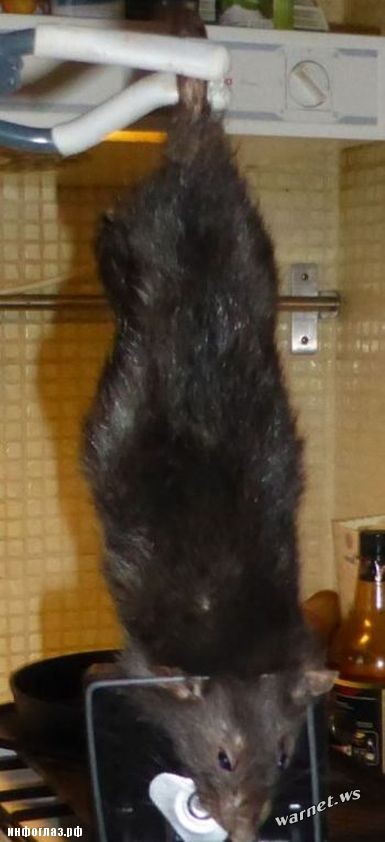В