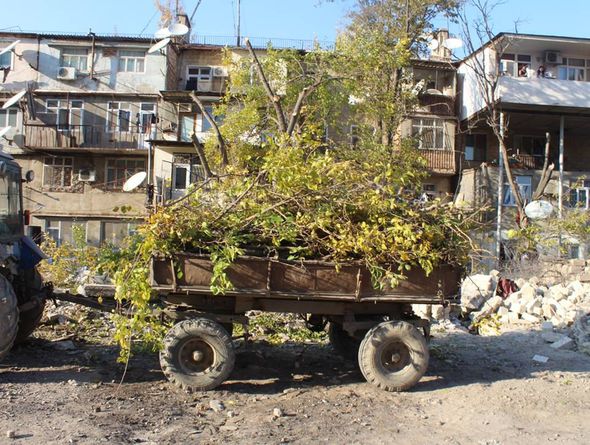 Протесты