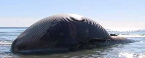 15-тонный