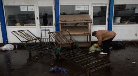 Овощебаза в Бирюлево откроется