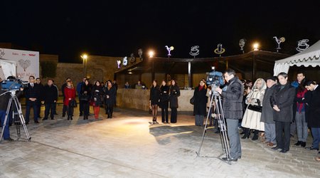 Bakıda “Məhəbbət ağacı” yetişdi - FOTOLAR