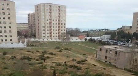 Botanika bağına cavabdeh kimdir? - VİDEO+FOTO