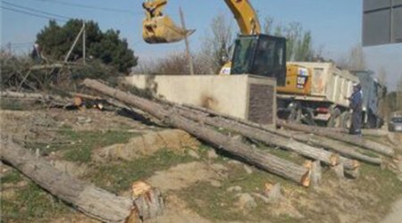 Bakı-Sumqayıt yolunda ağaclar kəsilir - FOTOLAR