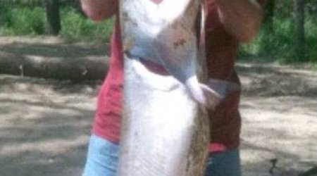 Catfish angler catches 'dinosaur' turtle weighing 100LBS - PHOTO