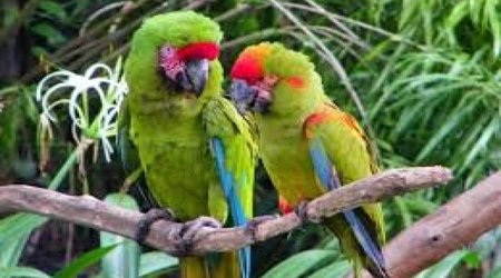 IUCN welcomes Azerbaijan as new state member