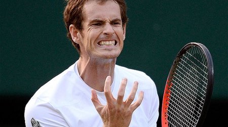 Andy Murray beats Gael Monfils to reach French Open semis