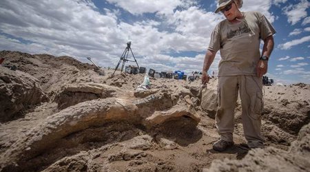 Accidental discovery of ancient stegomastadon skull - PHOTO