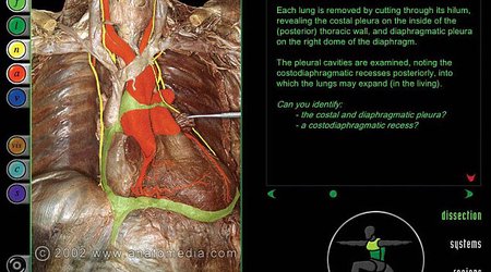 Medical website lets you virtually dissect dead bodies - PHOTO+VIDEO