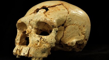Bonanza of skulls in 'Pit of Bones' changes view of Neanderthals