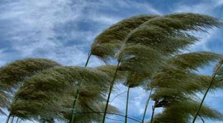 Baku weather forecast for July 19