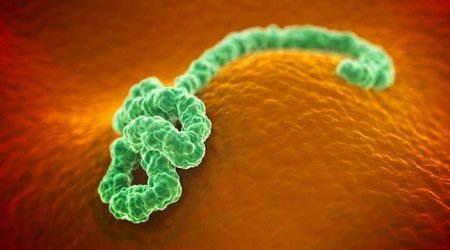 Ebola: How easily do germs spread on planes?