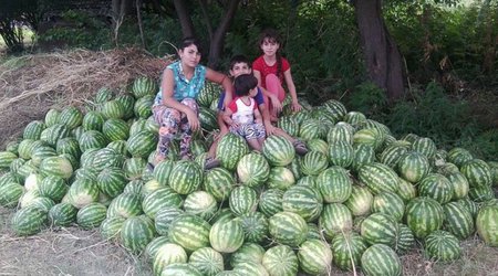 Armenian girls selling watermelons in Azerbaijan's Zangilan - PHOTO