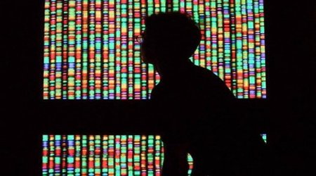 Success can be attributed to racial differences within genetics